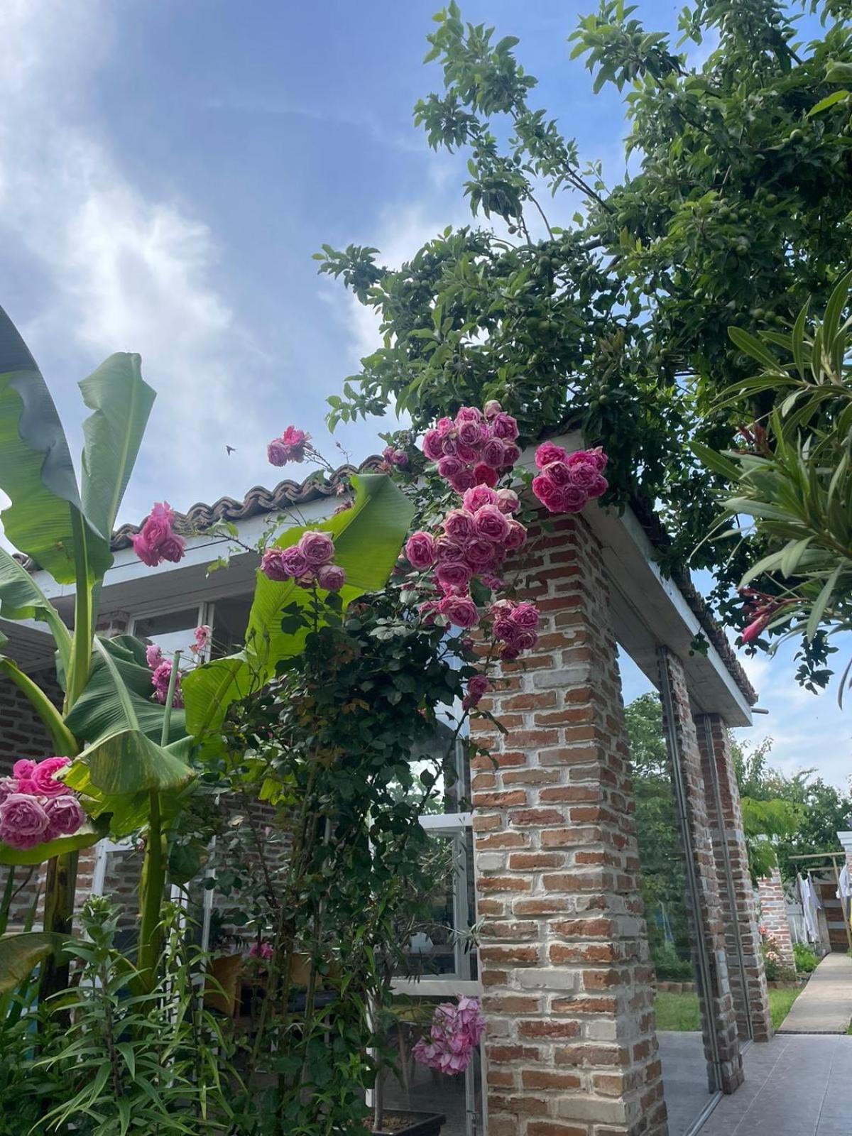 Casa Mediterana Două Mai Екстериор снимка